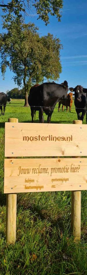 Masterlines houtlaseren